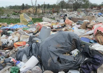 Alerta basura: en Argentina se generan más de 11 millones de toneladas al año