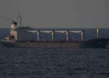 Arribó a Turquía un barco con 33 mil toneladas de maíz exportados desde Ucrania