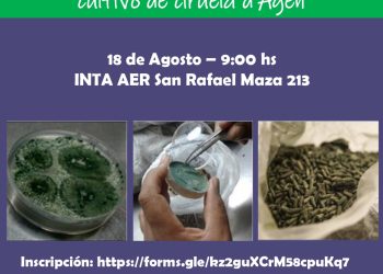 Capacitarán sobre el uso de bioinsumos en el cultivo de ciruelas