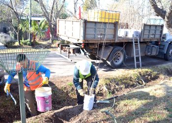 El Municipio trabaja en un plan de reforestación  de distintos puntos de San Rafael