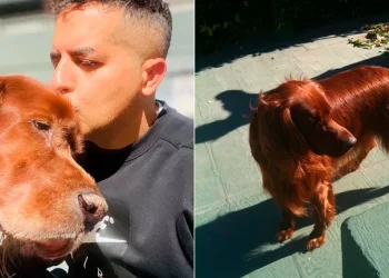 El duro momento de Ángel de Brito: “No hay palabra para describir la tristeza de despedirte”