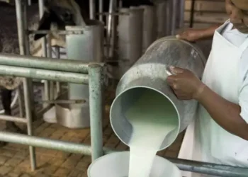 La producción lechera de nuestra provincia no consigue insumos importados fundamentales