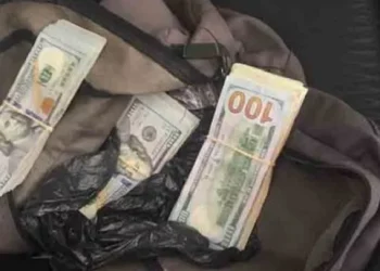 Un caso inédito en el país: Encontró más de dieciséis mil dólares en la calle y los entregó a la Policía 