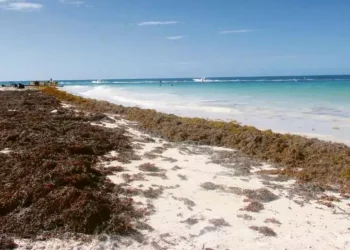 Filmaba el amanecer, quedó sepultado bajo la arena y murió