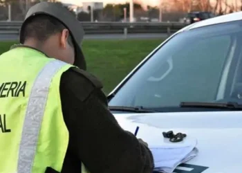 Gendarmería decomisó millonario cargamento que venía a Mendoza