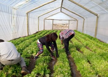 Grupos de productores se reúnen para fomentar la producción agroecológica