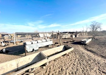 Realizaron una campaña de fiscalización  de tierras y coordinación con puesteros de Monte Comán para avanzar en sus escrituras