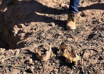Macabro hallazgo en México: encontraron tres fosas clandestinas con seis cuerpos