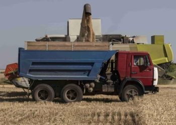 Más de un millón de toneladas de grano ya fueron exportados por el pacto entre Rusia y Ucrania