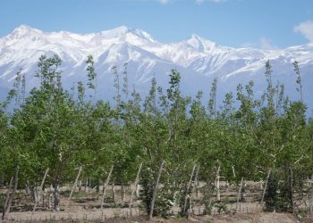 Alertan sobre toda clase de robos en las fincas y piden soluciones a la policía y la justicia