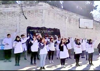 Alumnos de la escuela El Nevado interpretaron en lengua de señas una canción en honor a San Martín