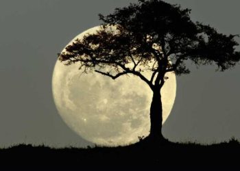 Última Superluna del año: cuándo y dónde se podrá ver