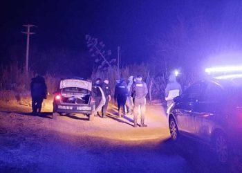 Conmoción en la provincia de Mendoza: Una mujer murió después de ser atacada por perros