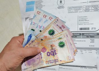 Desde la ONG Protectora explicaron que partir  del 1° de septiembre regirá la nueva segmentación tarifaria de los aprobados hasta el 31 de julio