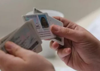 ¿Cuáles son los apellidos más comunes en la Argentina?