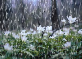 Fin de semana con posibilidad de tormentas aisladas en San Rafael y muchos sectores de la provincia