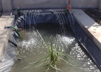 Así es la prueba piloto para sanear agua y reutilizarla en la agricultura