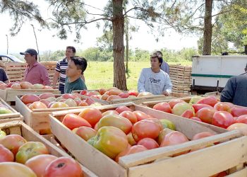 La Unión Frutihortícola advirtió que se  siguen registrando aumentos en el agro