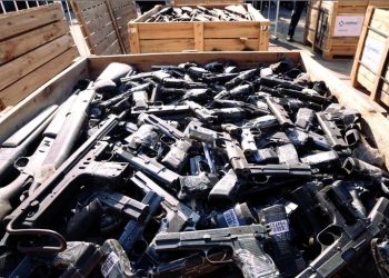 Hay 1,2 millones de armas de fuego registradas en Argentina, pero sólo el 25% tiene la tenencia vigente
