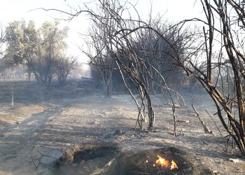 Se desatan entre 6 y 8 incendios diarios provocados por el uso de  fuego para limpiar malezas