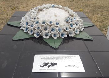 Indignante: vandalizaron la hortensia que homenajea a los héroesde Malvinas en Monte Comán