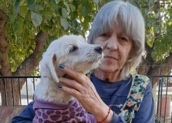 “No tienen perdón de Dios”: es jubilada, quiso pedir un préstamo para rescatar perros y le vaciaron la cuenta