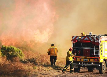 Preocupa el fuerte incremento  de incendios forestales en San Rafael