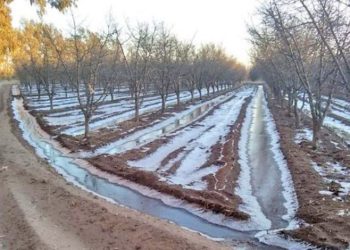 Promueven la creación de un  plan de incentivo a la inversión en sistemas de riego, lucha antigranizo y contra las heladas