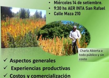 Realizarán una charla gratuita sobre “Reintroducción del  cultivo de la Quinua en Cuyo”