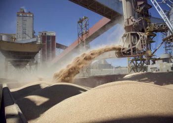 Tensión con el campo: productores que vendieron a “dólar soja” no accederán a divisas en el mercado oficial