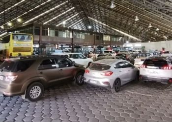 Vuelve el sistema migratorio simplificado en el Paso Cristo Redentor: de qué se trata￼