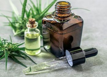 Estudian para mejorar la producción de aceite  de cannabis y su utilización para tratar enfermedades