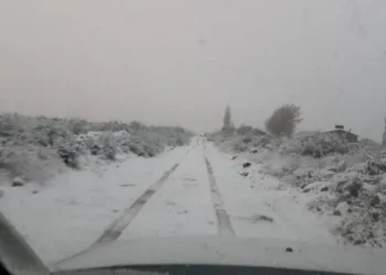 Mirá cómo arrancó la primavera en algunas zonas de Mendoza: ¡Cubierto de nieve!