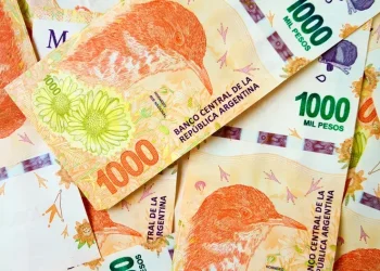 ANSES: qué se sabe hasta el momento del bono de $50.000