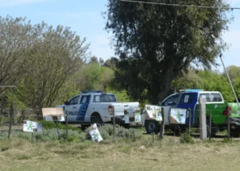 Abusaba de sus dos nietitas y dos amigas cuando lo iban a visitar: dibujos fueron claves para revelar todo