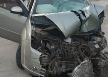 Ruta Nacional 11: Con 1,36 de alcohol en sangre, atropelló a cinco hermanos y mató a dos