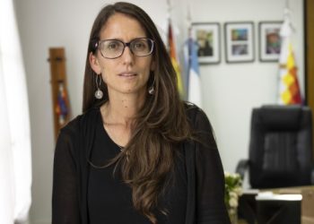 El Presidente aceptó la renuncia presentada por Elizabeth Gómez Alcorta
