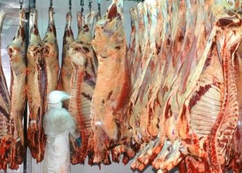 En rechazo al troceo, algunos frigoríficos paralizan sus actividades y podría faltar carne