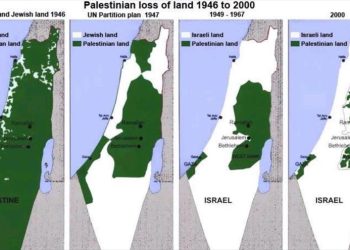 Expertos de ONU: Israel es un régimen ilegal de ocupación y anexión