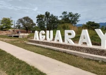 Otro hecho trágico en Argentina: Festejaba un cumpleaños, un palo que se voló por el viento le dio en la cabeza y murió frente a su familia
