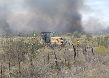 Vialidad Mendoza combatió otro incendio forestal en San Rafael