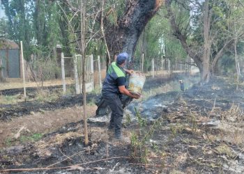 Se incendiaron 15 hectáreas de finca en Las Paredes