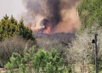 Intensa labor de  Bomberos de Mendoza en los últimos días