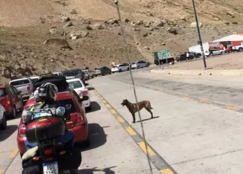 Más de 4.700 chilenos cruzaron a Mendoza con una Aduana colapsada