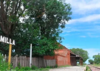 Se quedó dormido en las vías y fue arrollado por un tren, pero se salvó de milagro