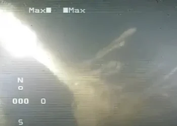 ¿Un submarino nazi en el Mar Argentino? Sorpresivo hallazgo a la altura de Quequén
