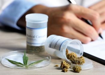 Se llevará a cabo una jornada de  formación sobre cannabis medicinal