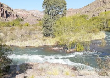 Camino de Sirga  ¿aplica en Valle Grande?