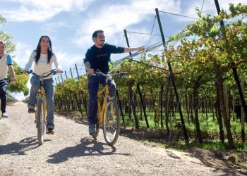 Feriado largo: se espera  una ocupación plena en la provincia