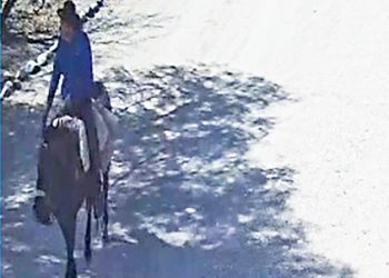 Aprehenden a un hombre acusado  de iniciar el incendio de Valle Grande